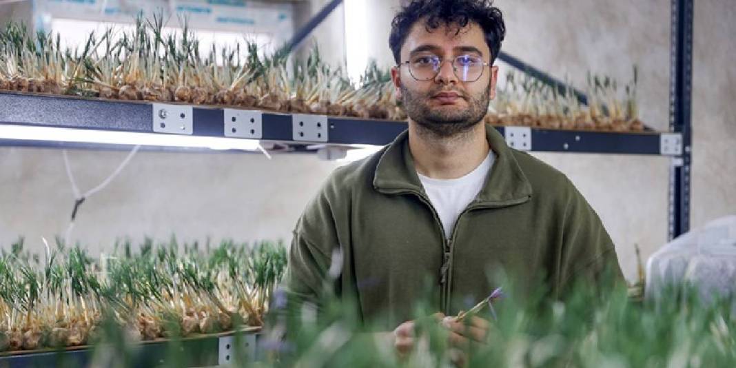 Dünyanın en değerli baharatına yeni boyut! Topraksız yetiştirdi, 1 milyondan fazla gelir sağladı: Hedefi üretimi artırmak 5